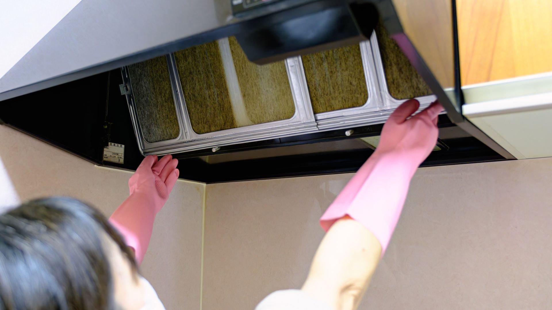 Hands cleaning or replacing filter in kitchen range hood
